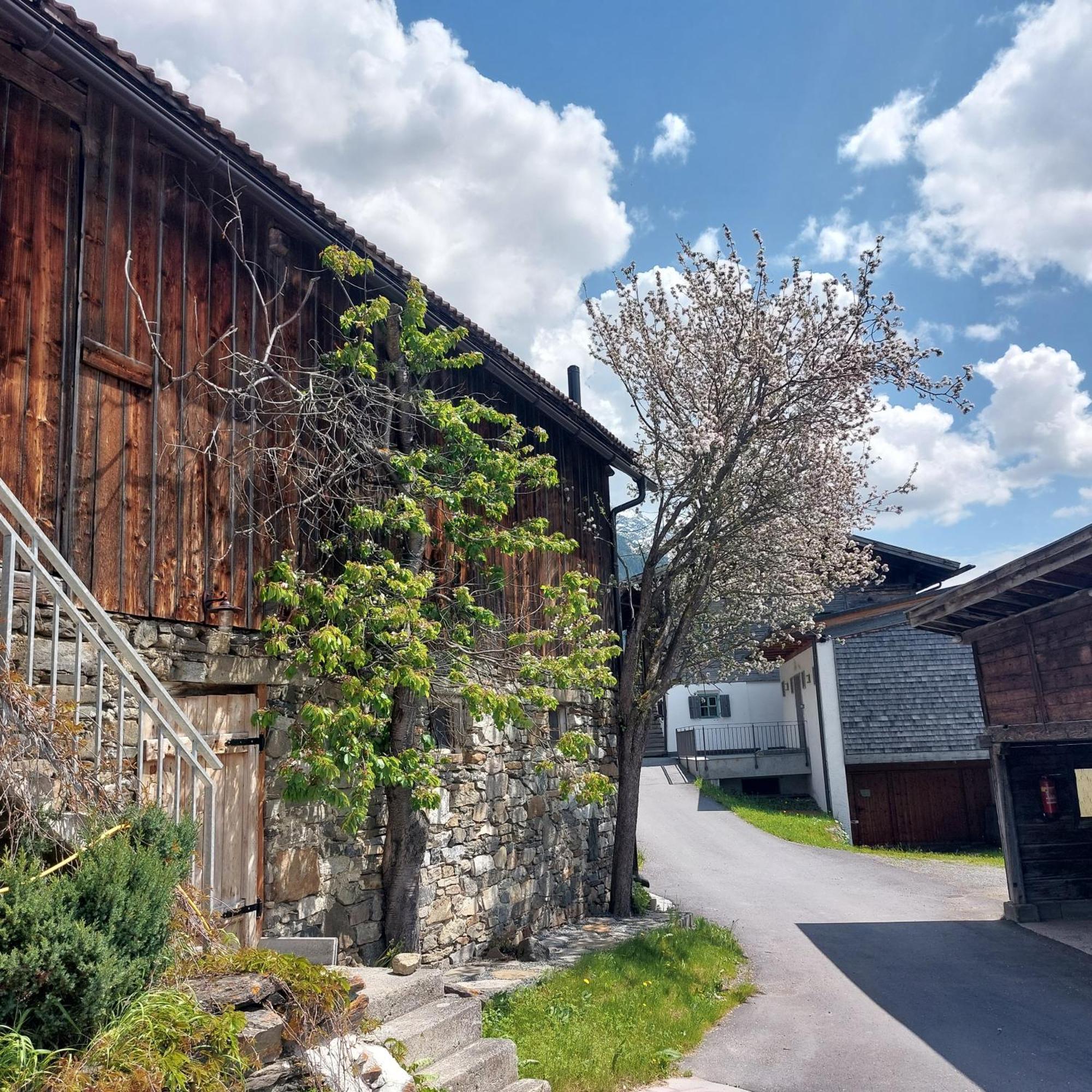 Bichlhof Appartement Niederthai Buitenkant foto